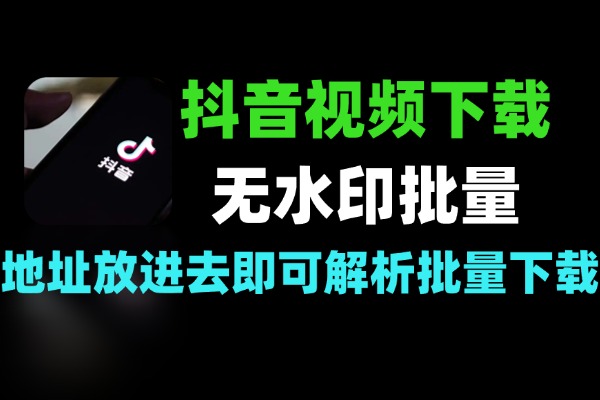 抖音视频无水印解析下载工具支持批量下载